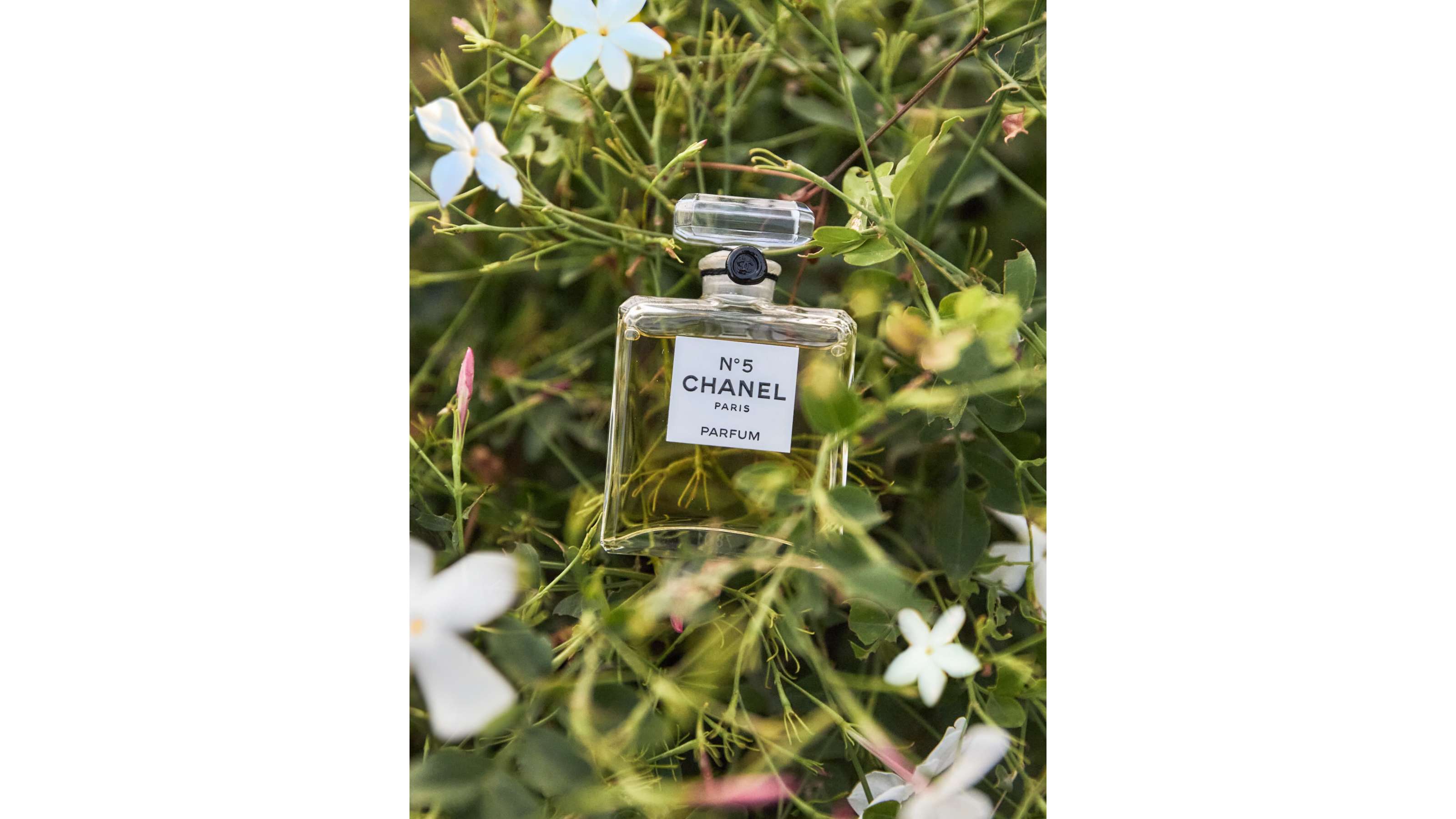CHANELの求人画像