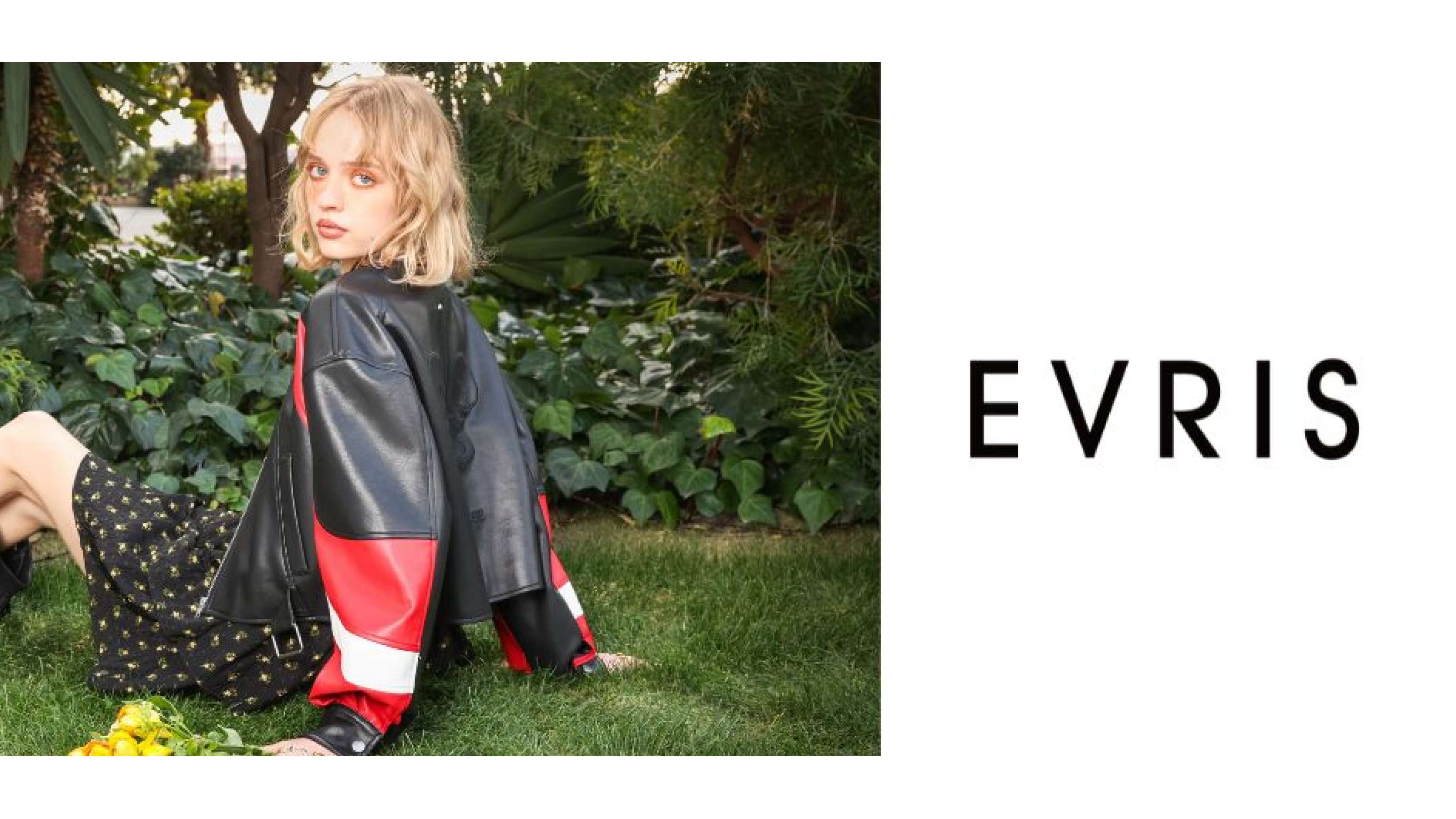 EVRISのバナー画像