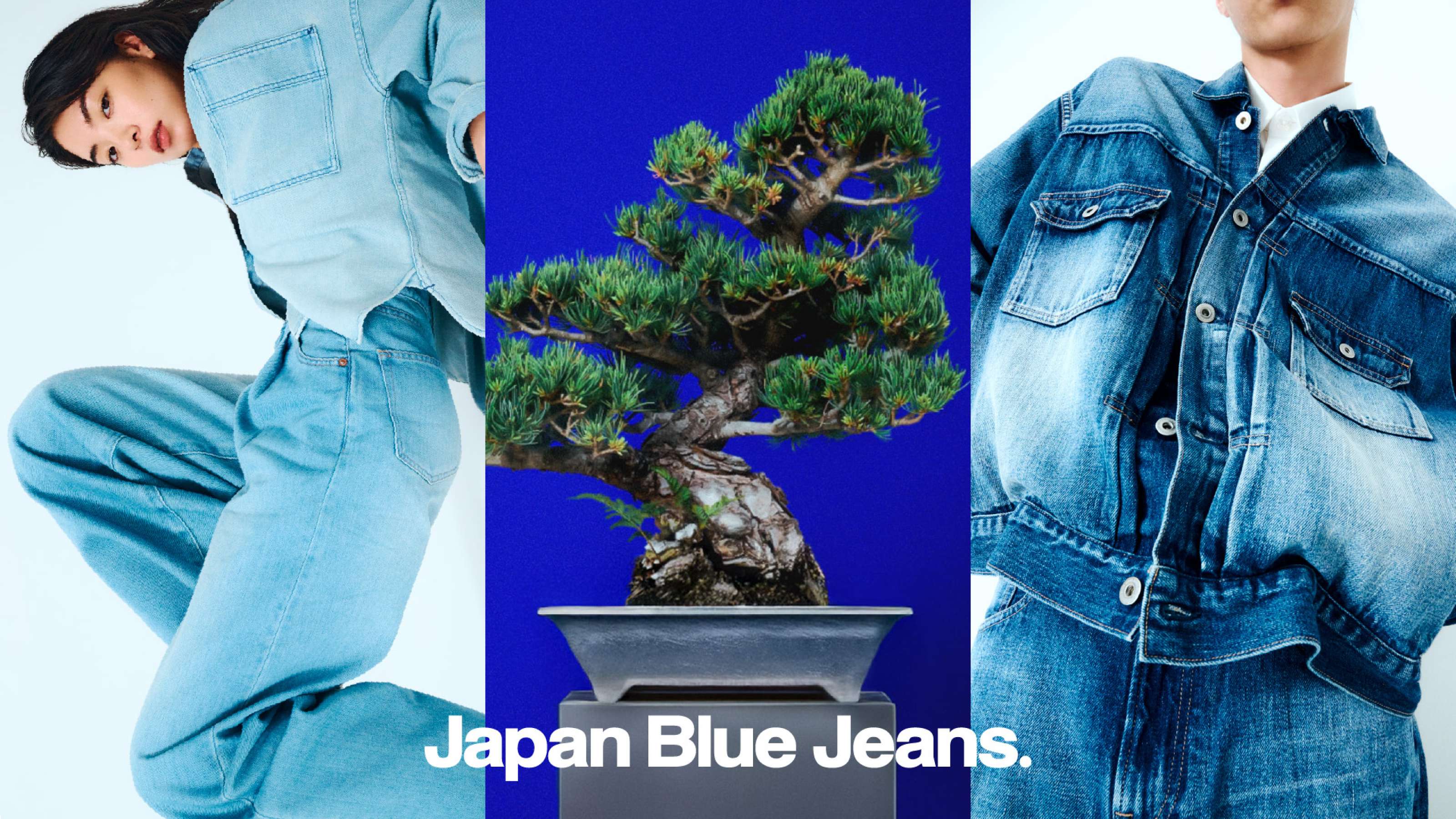 JAPAN BLUE JEANSの求人画像
