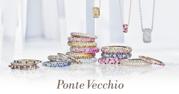 Ponte Vecchioの求人画像