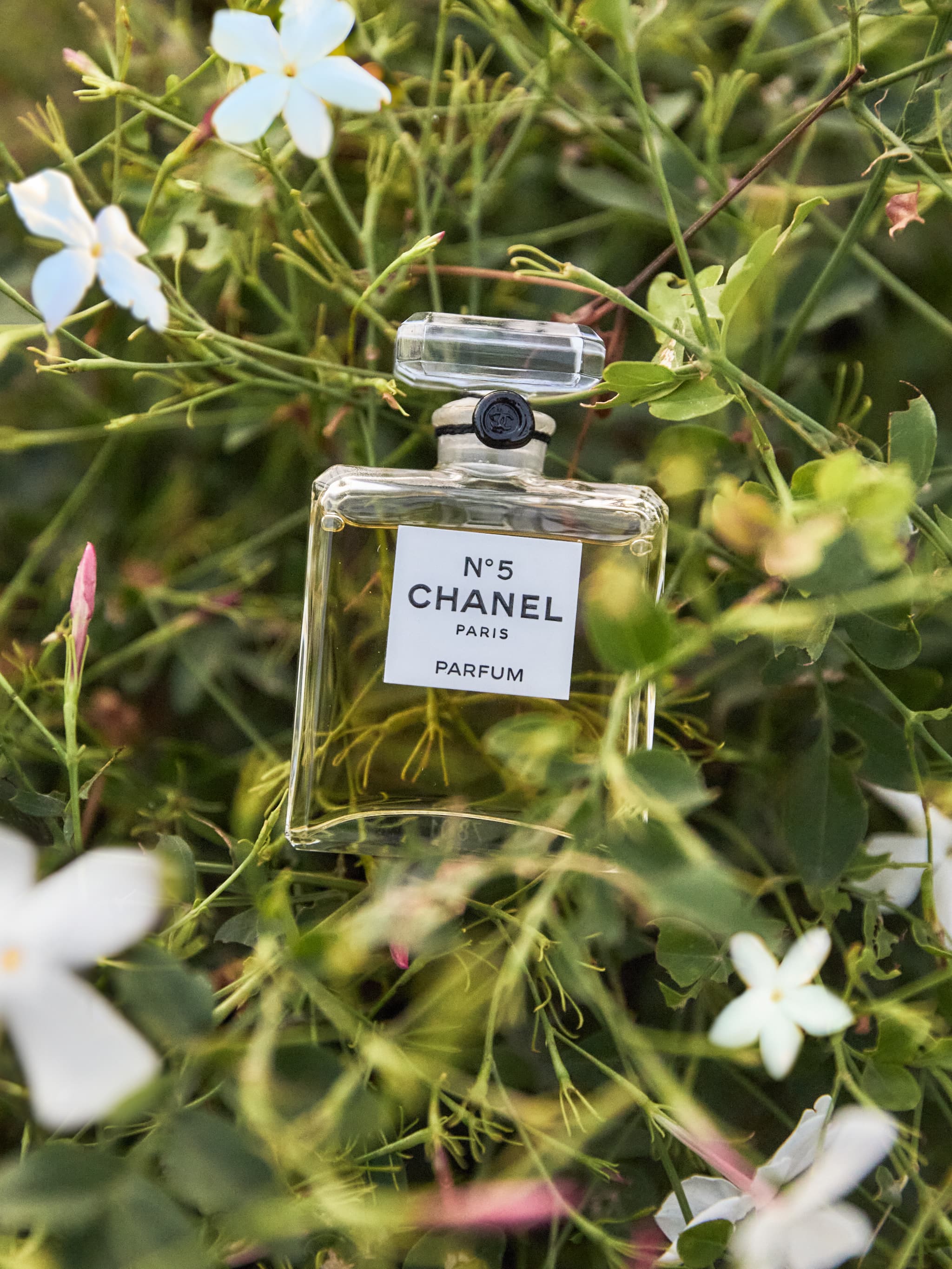 CHANELの求人画像
