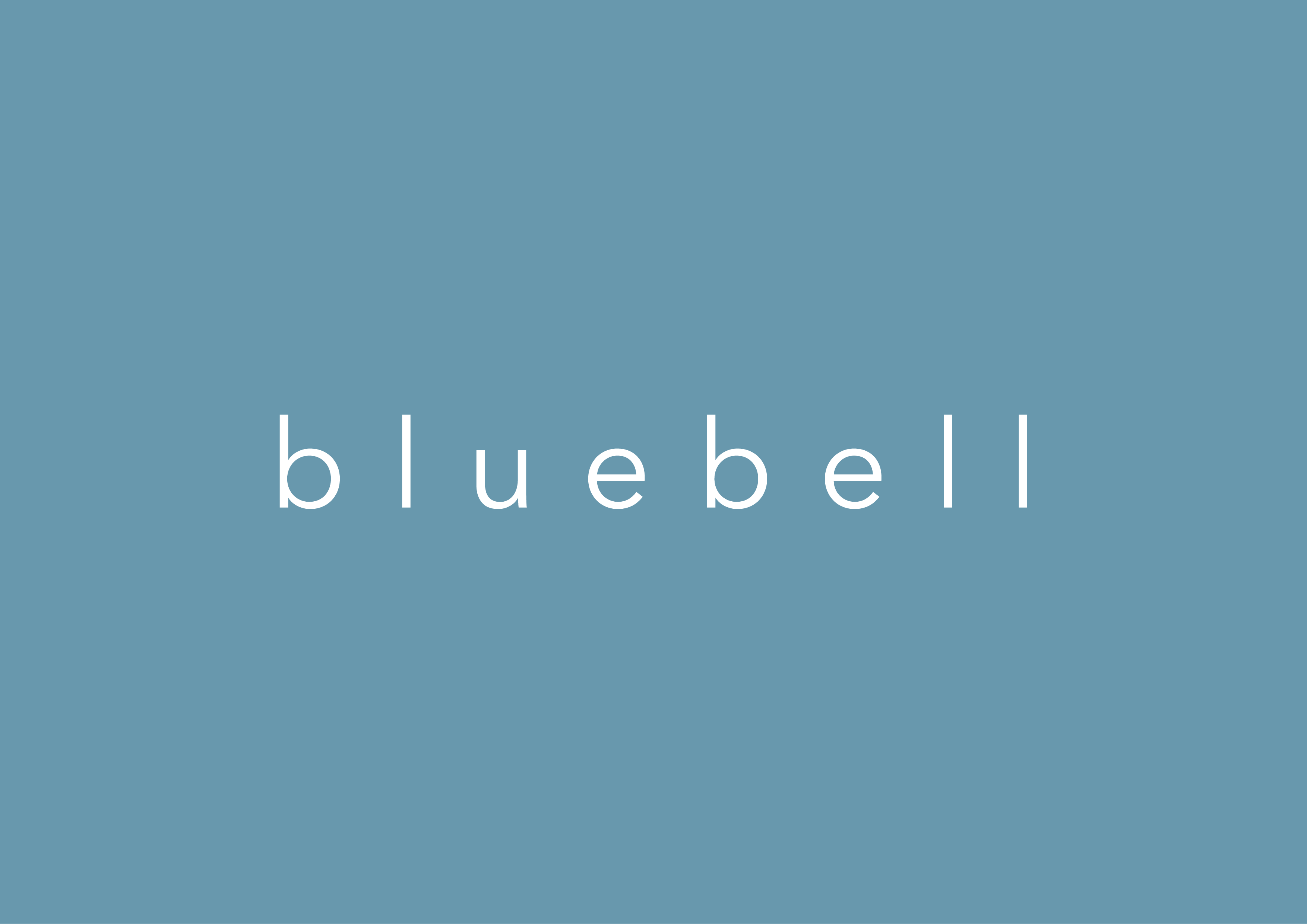 Bluebell Groupの求人画像