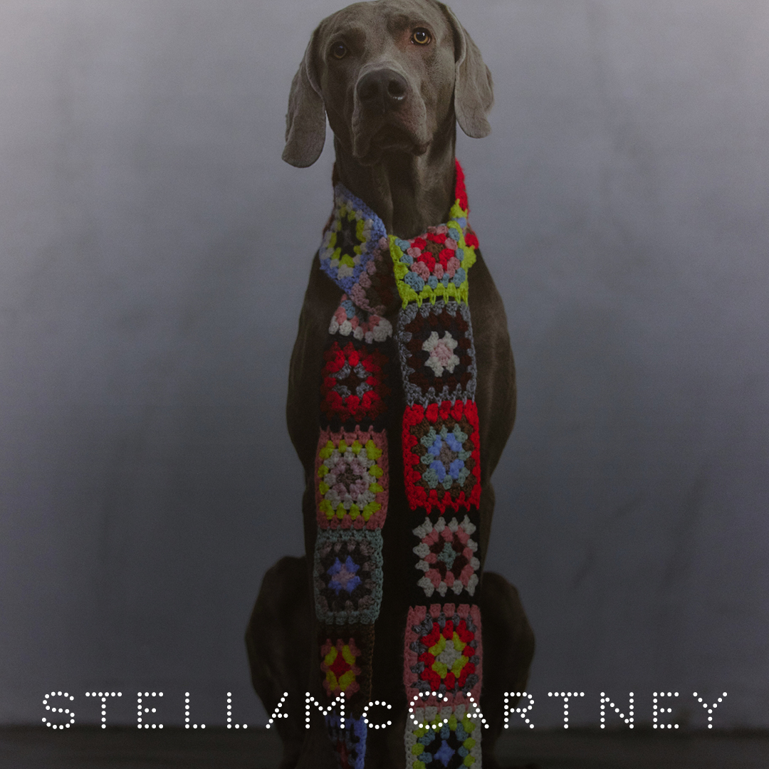 STELLA McCARTNEYの求人画像